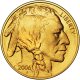 [American Buffalo Gold Coin (24kt)]