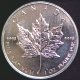 [Canadian Maple Leaf Platinum Coin Uncirculated]
