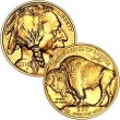 [American Buffalo Gold Coin .9999  (Any Date Unc.)]
