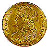 Gold 5 dollar coin-front