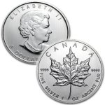 [Canadian Maple Leaf<p>Platinum Coin]