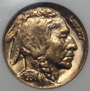 Beautiful Gem Buffalo Nickle!