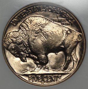 Beautiful Gem Buffalo Nickle!